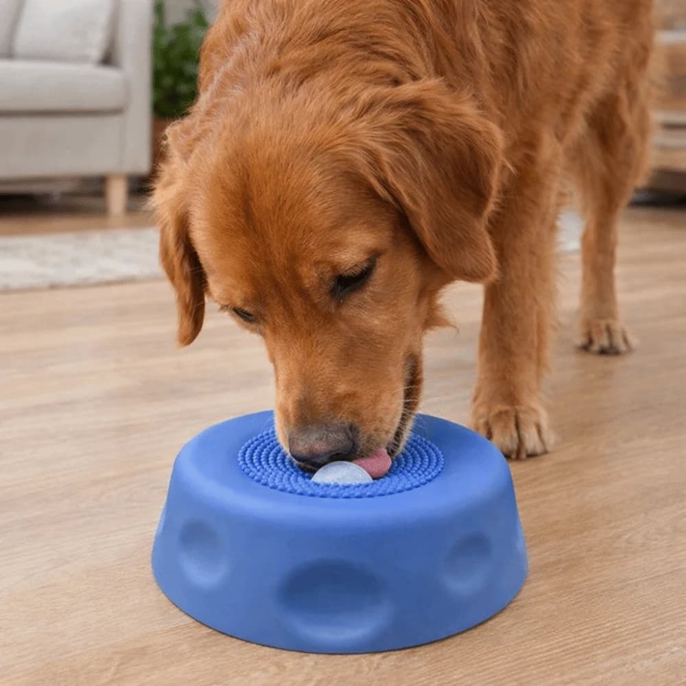 Ciotola Creativa in Silicone Alimentare per Cani, Antiscivolo con Sfera Rotolante, Mangiatoia Lenta Anti-Soffocamento per Snack Umidi