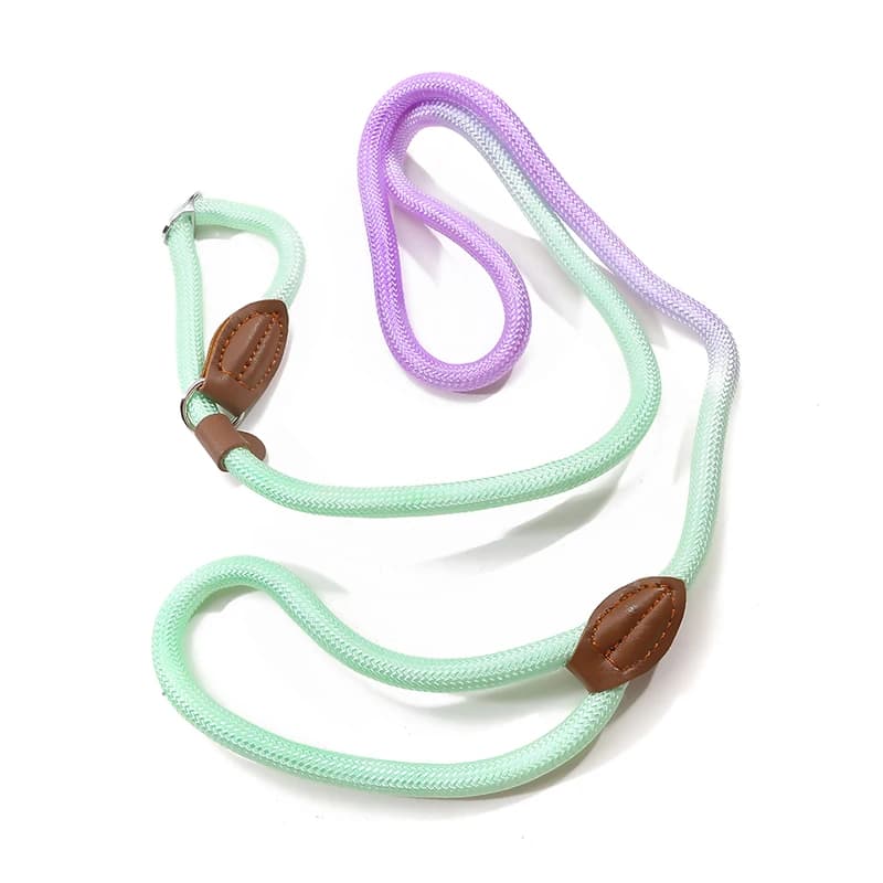 Guinzaglio regolabile in nylon arcobaleno per cani di taglia piccola, media e grande, per passeggiate all'aperto