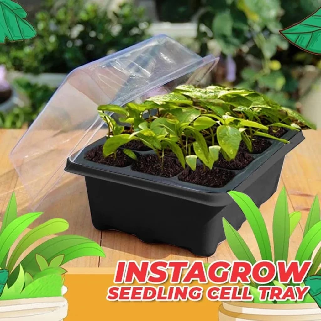 Tray for multi-hole seedlings 12 holes Plant seed growing box Vivary tray Garden tray Garden tray Plant vases
