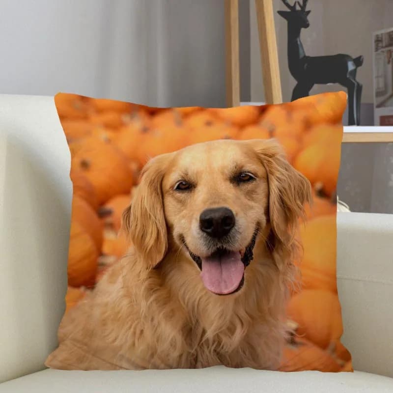 Musife Golden Retriever dog pillow pillowcase decorations for wholesale 3.18