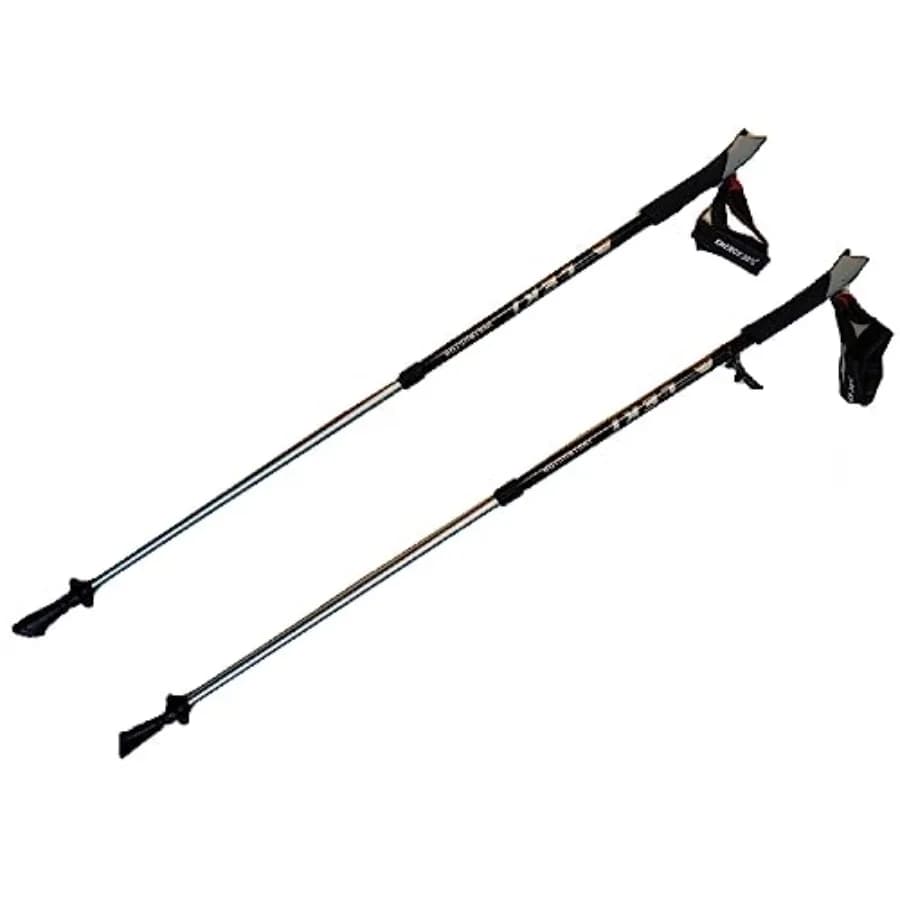 Bastoncini da Nordic Walking per Istruttore di Trekking
