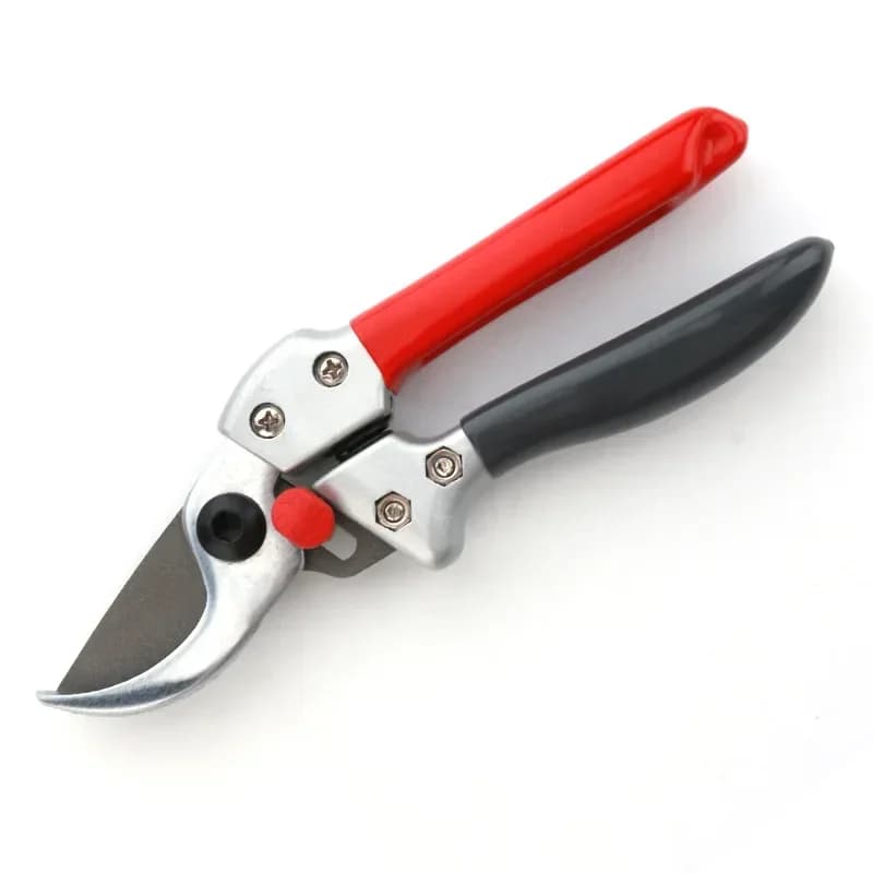 Horticulture and fruit finishing: folding saw, shrub scissors, garden tools set for branches