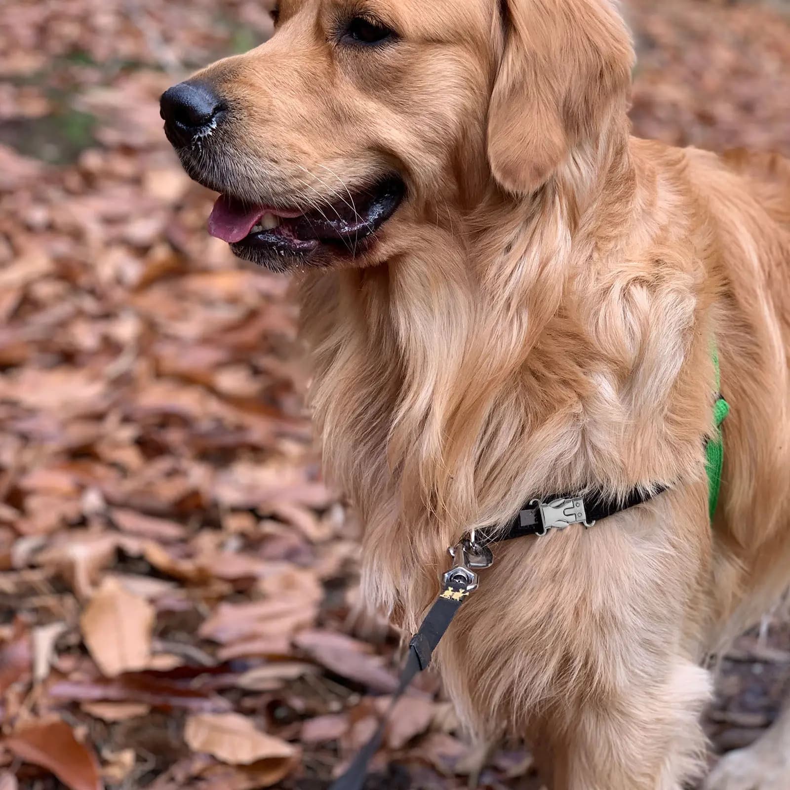 5 Pezzi Fibbie a Sgancio Rapido in Metallo Argento Piatte Incisionabili per Collari per Cani, Cinture, Imbracature, Braccialetti in Paracord