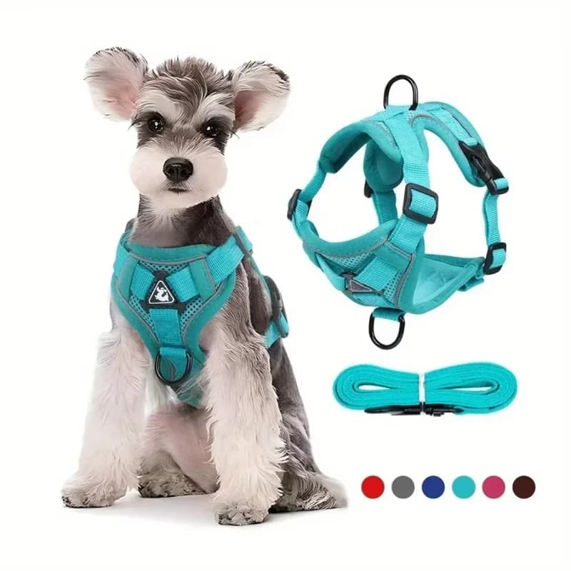 Set di Alta Qualità per Cani e Gatti: Pettorina e Guinzaglio Riflettenti, Accessori per Passeggiate all'Aperto