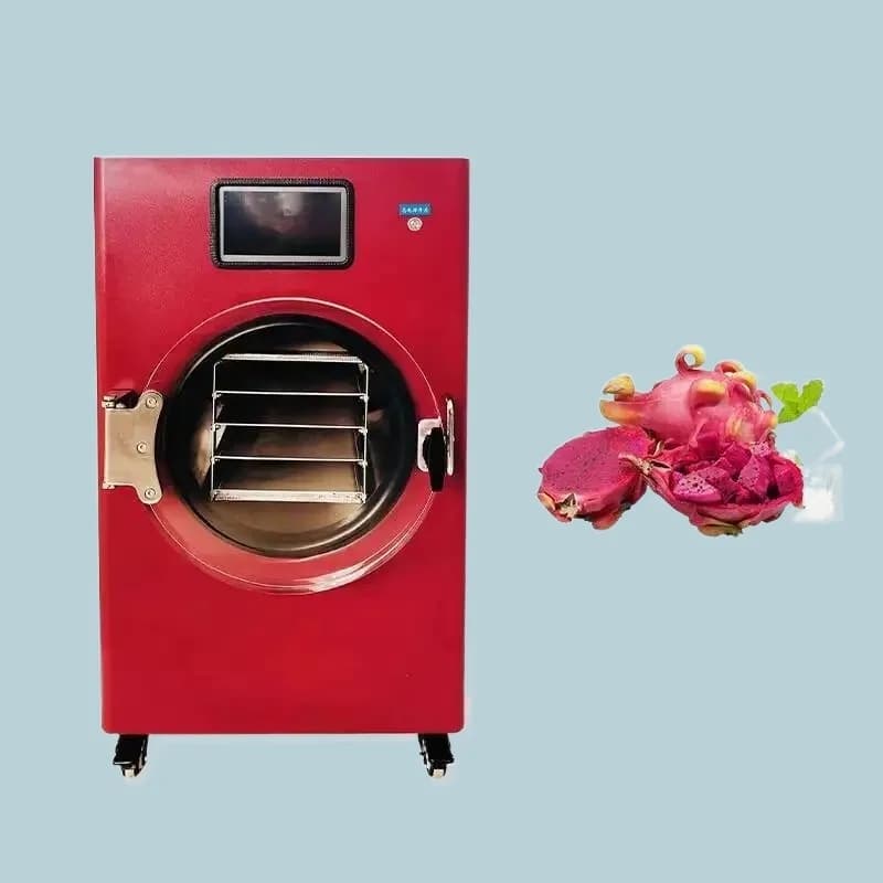 Liofilizzatore sottovuoto nella lavorazione di frutta secca e verdura frutta Alimenti Liofilizzatore per verdure liofilizzante sottovuoto