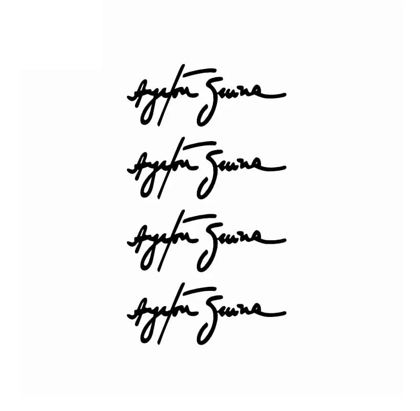 Ayrton Senna Signature Car Sticker Interesting Decal Laptop Guitar Truck Motorcycle Auto Accessories PVC,10cm*4cm