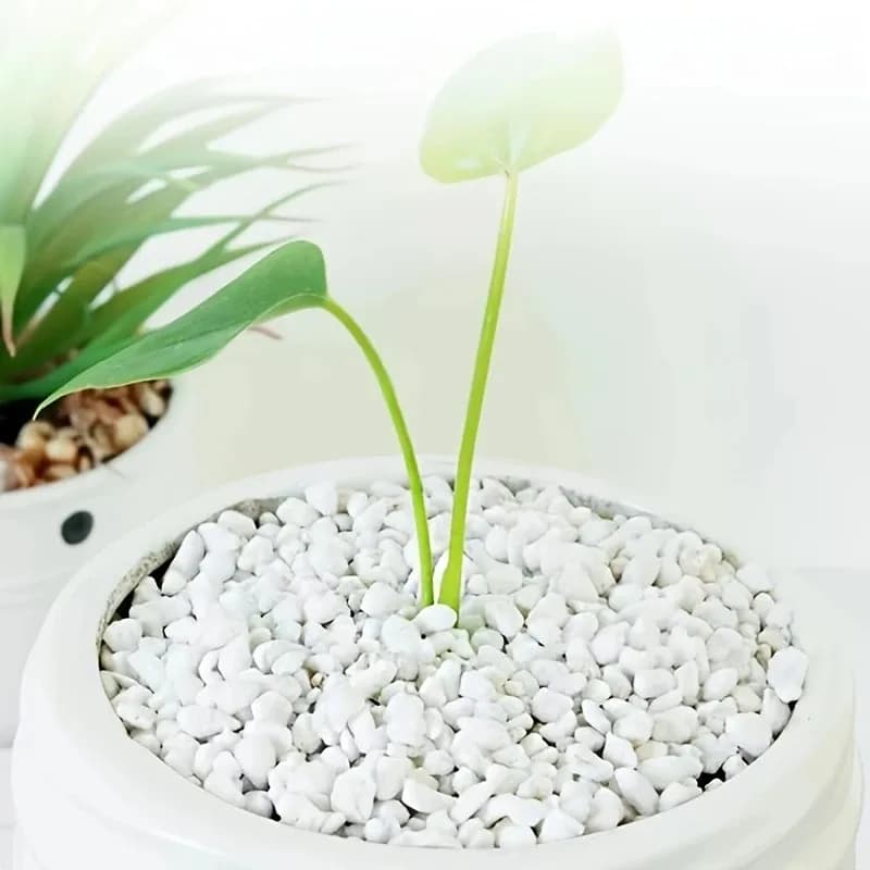1L high quality perlite succulent orchid plant universal flooring inferior use decorative pavement superficial flowering, bed for creeping animals