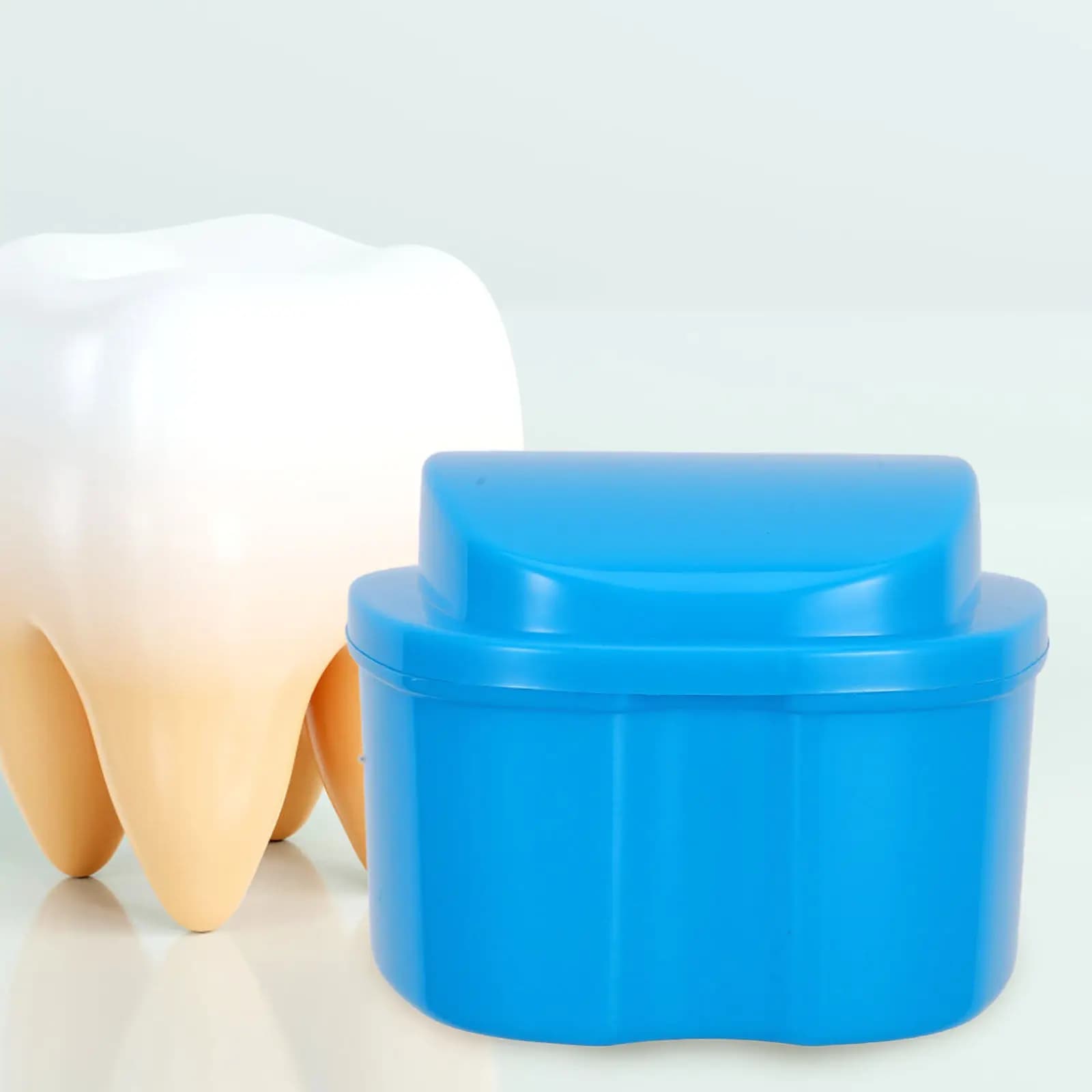 2 Pieces Compact Box for Dentarian Protectives, Plastic Robust Case for Safe Preservation of Artificial Tooths and Orthodontic Device Containers