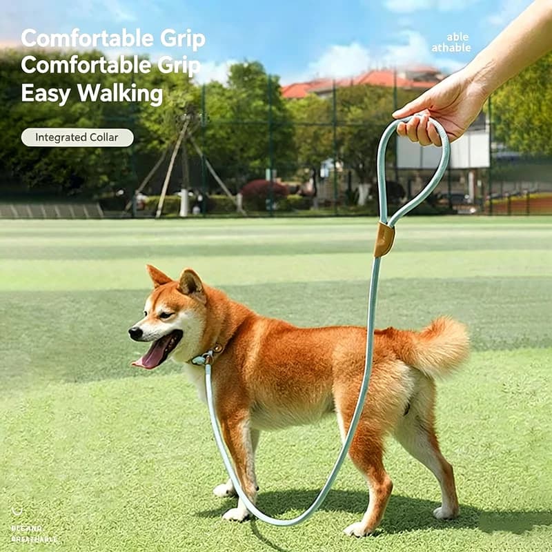 Guinzaglio Retrattile per Cani con Catena a P, Guinzaglio per Passeggio e Addestramento per Cani Piccoli, Medi e Grandi