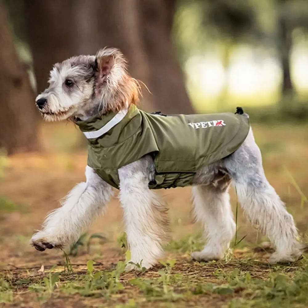 Impermeabile Regolabile per Cani con Cinghie Riflettenti, Morbido e Impermeabile, con Guinzaglio Integrato, Cappotto per Esterni per Animali Domestici