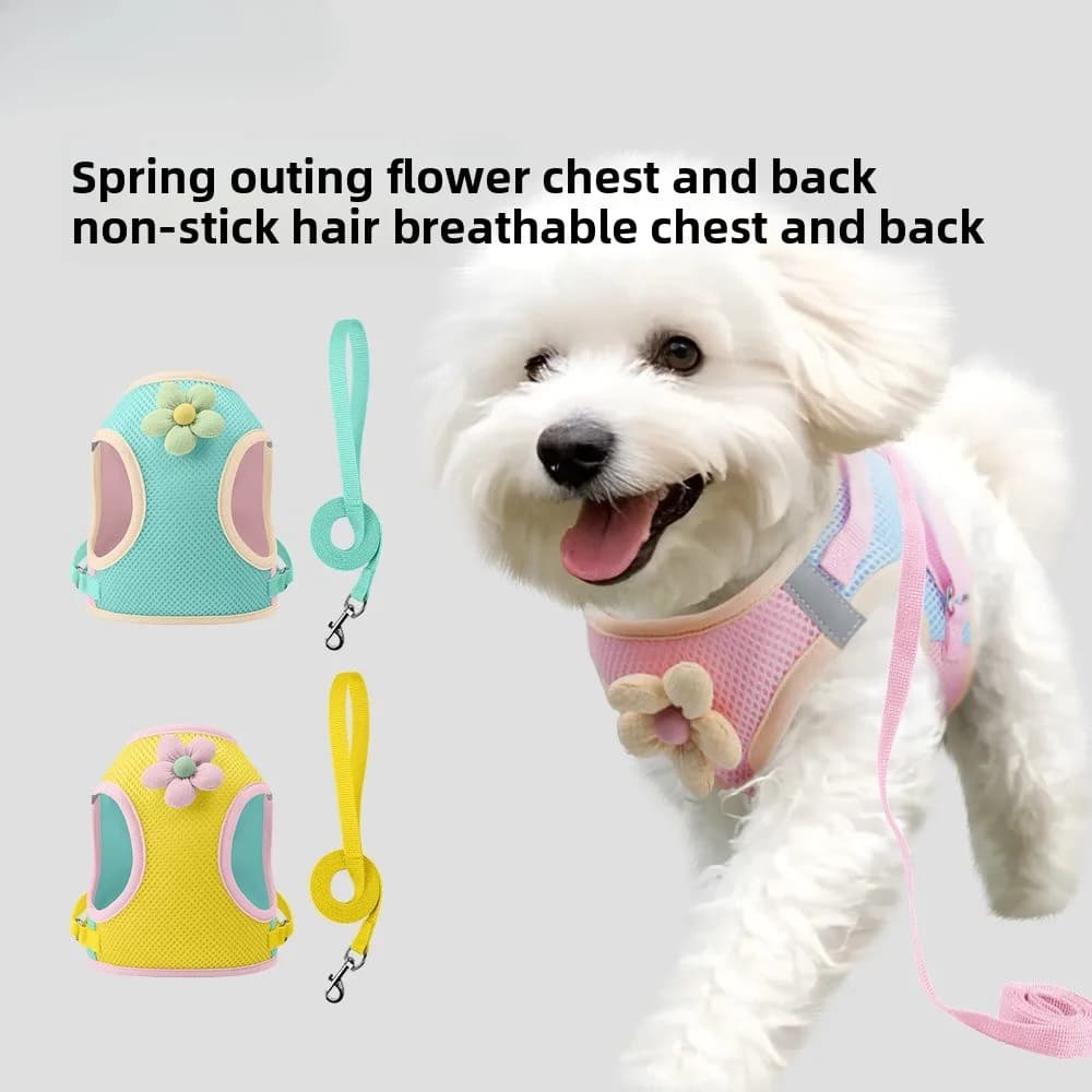 Pettorina per cani con orsetto dei cartoni animati integrato, a colori contrastanti, traspirante, con riduzione del carico, guinzaglio per cuccioli, guinzaglio per cani, collare per cani