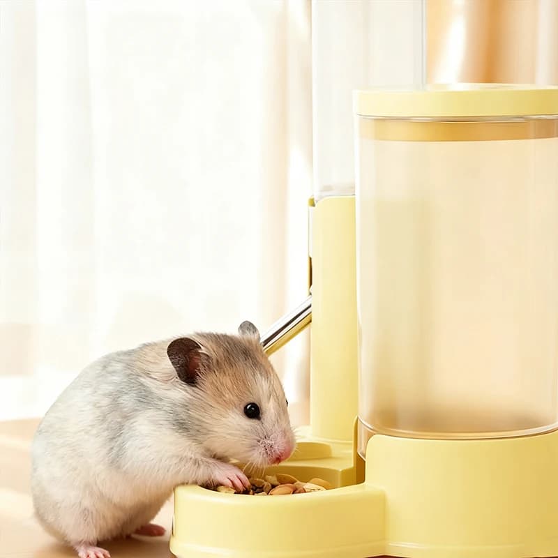 Distributore d'acqua per criceti Bottiglia d'acqua per criceti Distributore automatico per animali domestici con base Senza acqua potabile a goccia con ciotola per alimentazione alimentare