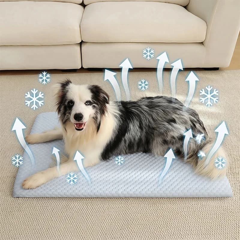 Summer Ice Silk Thick Breathable Dog Bed Cooling sponge Mat cat bed Non Slip Washable Pet Pad for Medium Large Cats Dogs