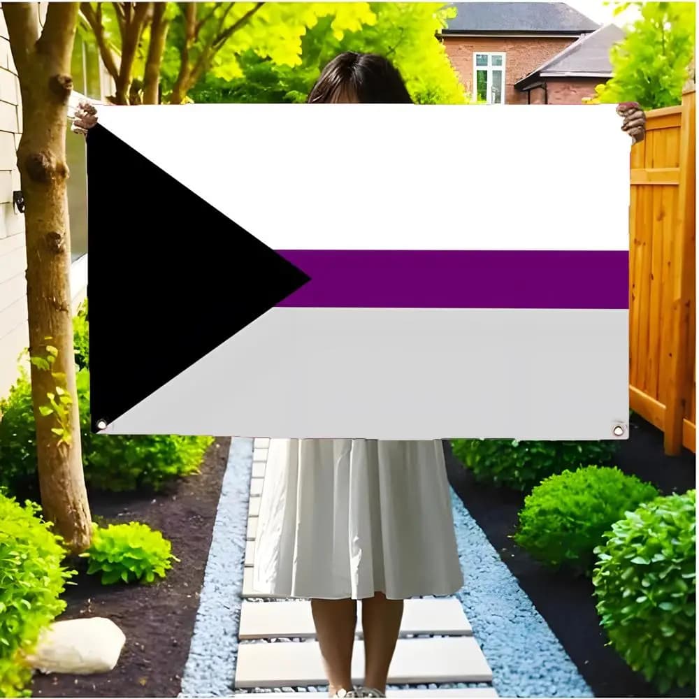 Bandiera Demisexuale Pride Senza Bordi con Quattro Anelli, Decorazione da Appendere per Interni ed Esterni, Facile da Appendere ed Esporre