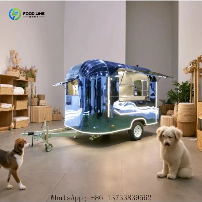 Camion Personalizzato per il Lavaggio di Cani e Gatti, Rimorchio per Toelettatura Animali, Veicolo per Servizio di Bagno Mobile