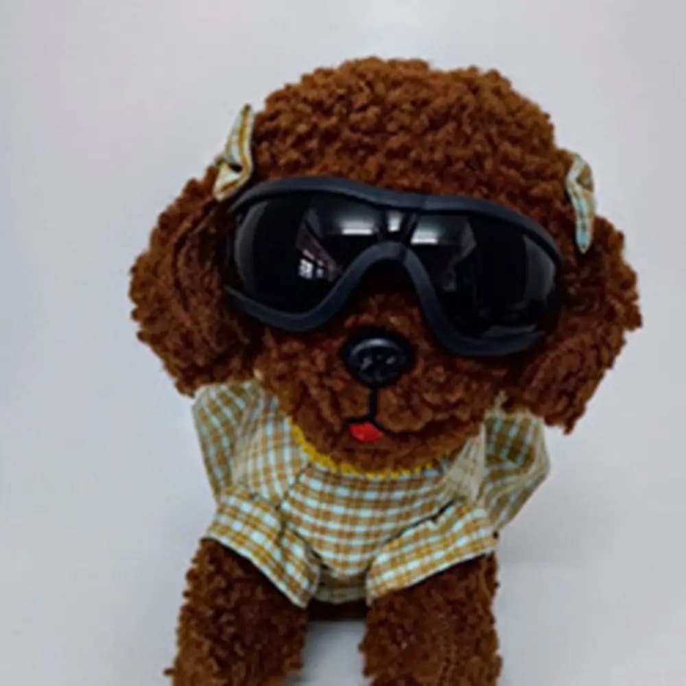 Occhiali da sole per cani con cinturino regolabile Occhiali da sole per cani antivento resistenti ai raggi UV Occhiali da viaggio impermeabili antiappannamento