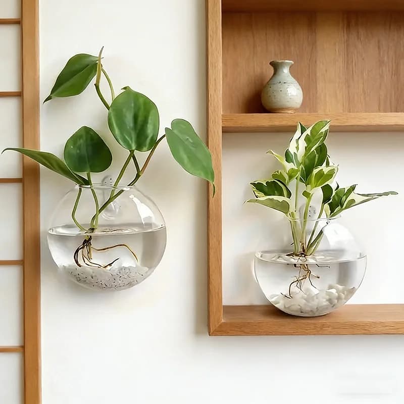 Minimalist Wall Mounted Glass Vase, Hydroponic Plant Pot, Creative Wall Hanging Planter for Living Room Home Decor