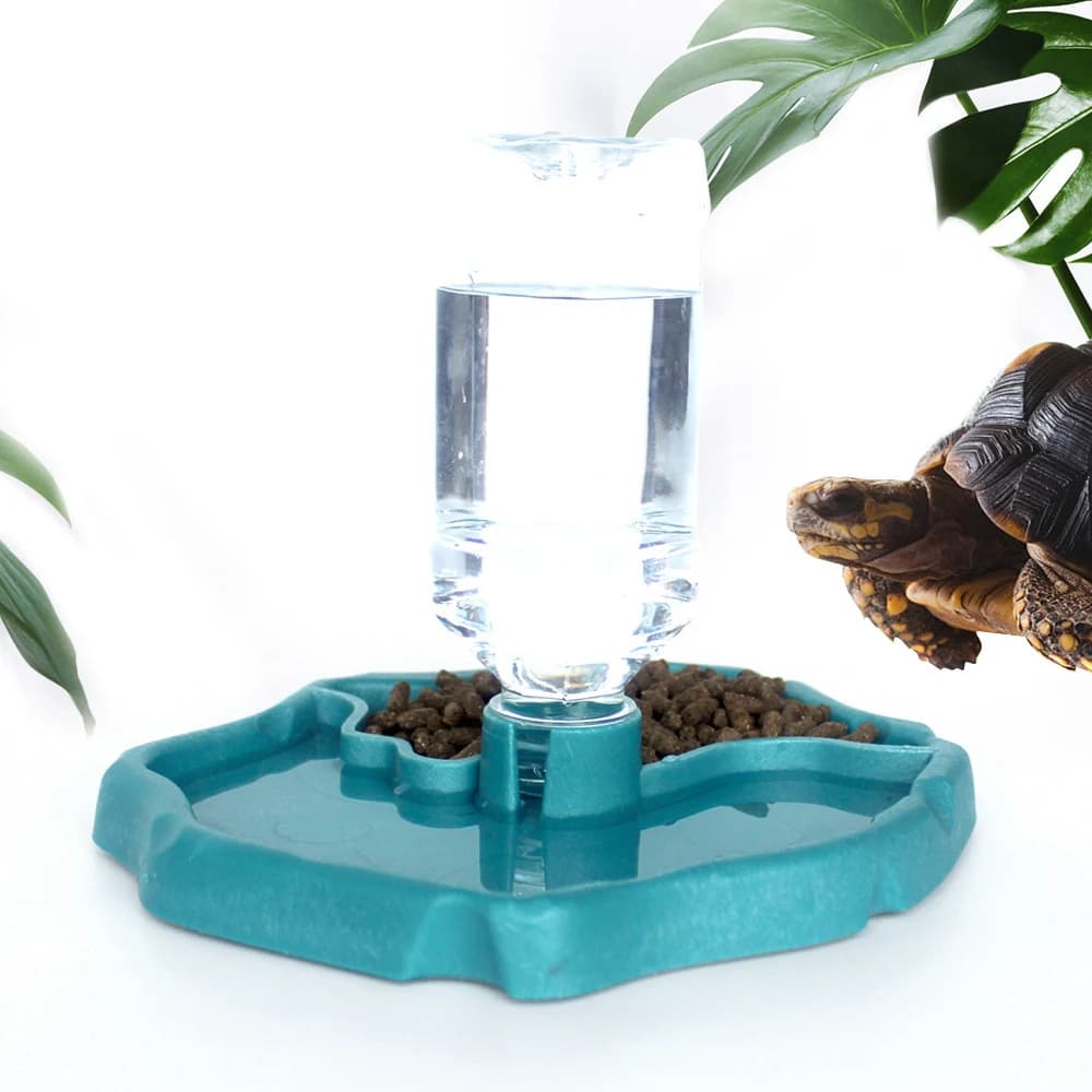 1 pezzo - Mangiatoia per rettili, ciotola per cibo per tartarughe, ciotola per piccoli animali domestici per rettili e anfibi, rimovibile, facile da pulire, accessori per piccoli animali domestici