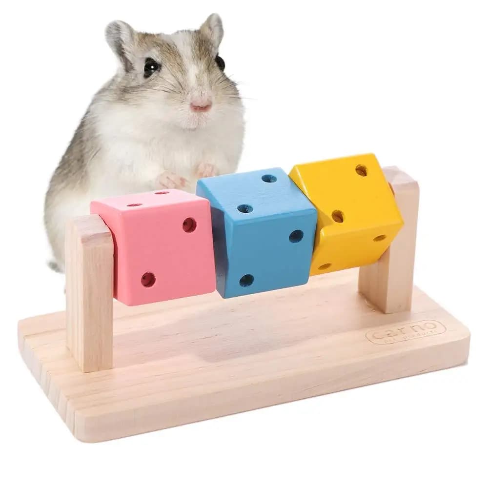 Giocattolo Creativo e Divertente a Forma di Cubo per Criceti, Resistente ai Morsi, Cubo Arcobaleno in Legno per Criceti, Giocattoli da Masticare per Porcellini d'India, Ratti e Furetti