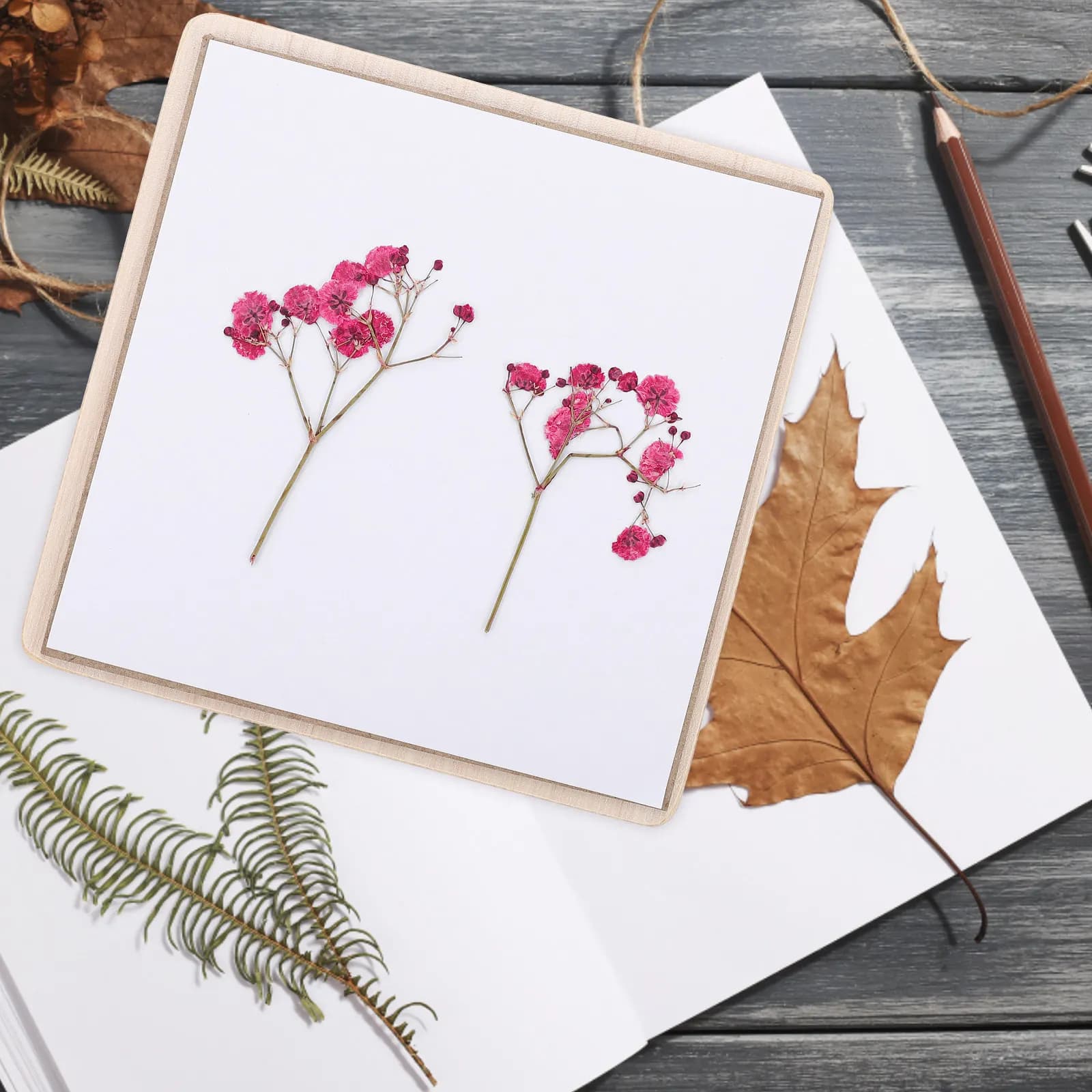 1Set Plant Specimen Tool Kit Wooden Flower Press Efficient DIY Pressing Tool for Kids Scrapbook Greeting Cards Wedding