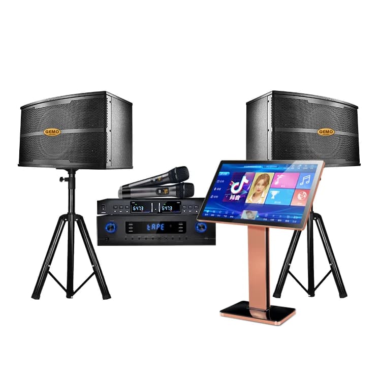 Hot Sale Professional Platinum Karaoke System Android Machine With Videoke Player And Sound Speaker