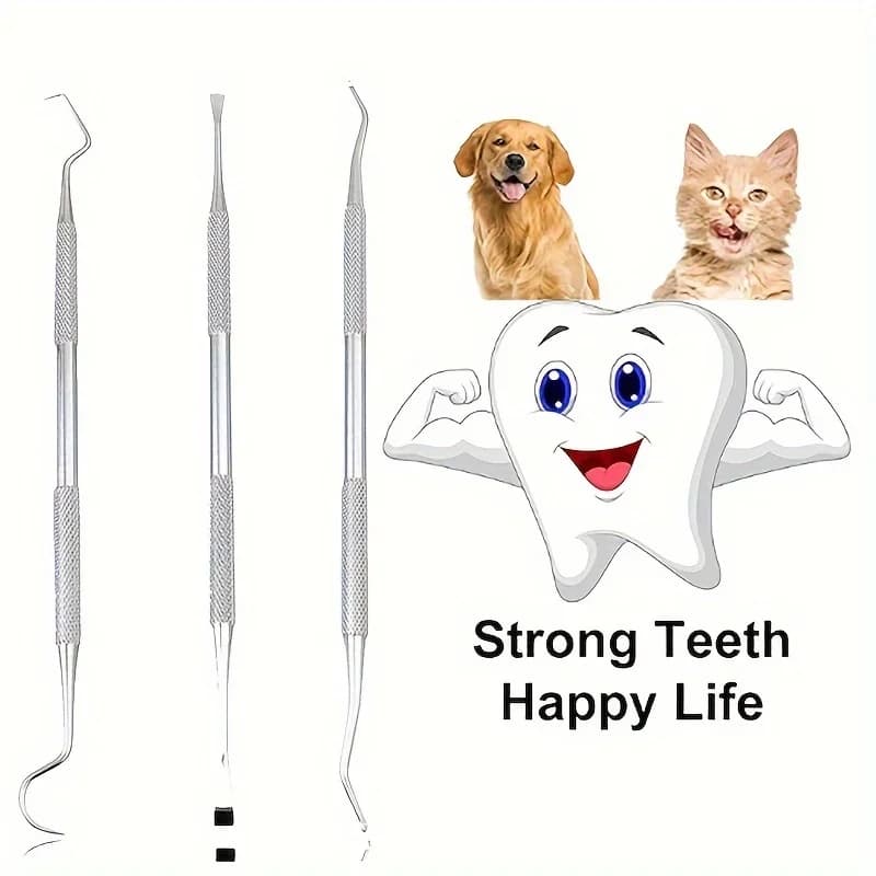 Kit dentale per animali domestici da 3 pezzi - Set di strumenti per la pulizia dei denti di cani e gatti in acciaio inossidabile, rimozione placca e calcolo per la cura dell'igiene orale