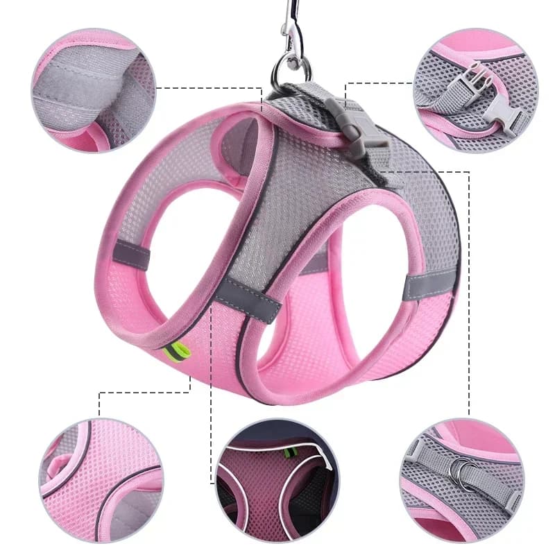 Set guinzaglio per imbracatura per cani di piccola taglia Bulldog francese Chihuahua Pug Guinzaglio per passeggiate all'aperto Gilet regolabile per imbracatura per cuccioli di gatto