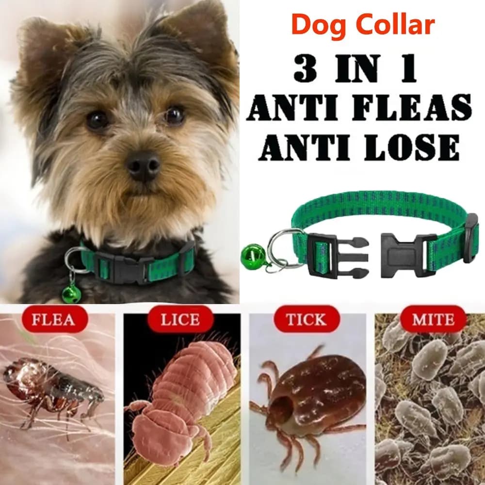 I zanzare all'aperto efficaci regolabili uccidono l'insetto tracolla collare per cani forniture per animali anti-pulci acari zecche