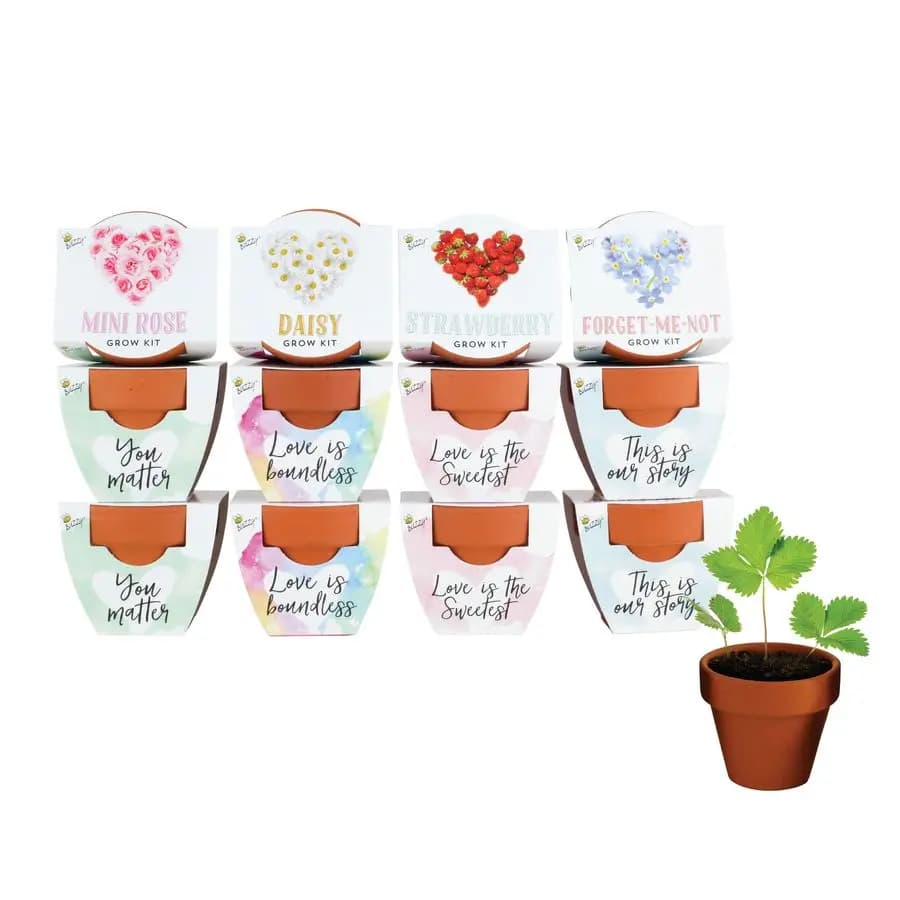 Starting Kit for Plants in Terracotta, Mini Seeds, Love Collection, Set Assorted by 12 Pieces, Fai-da-Te Garden Kit for Interior, Perfect Gift of Weddings