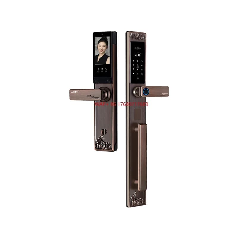 Serratura intelligente impermeabile intelligente di lusso Accesso alle impronte digitali Elettronica digitale per cancello in legno e DoorVilla