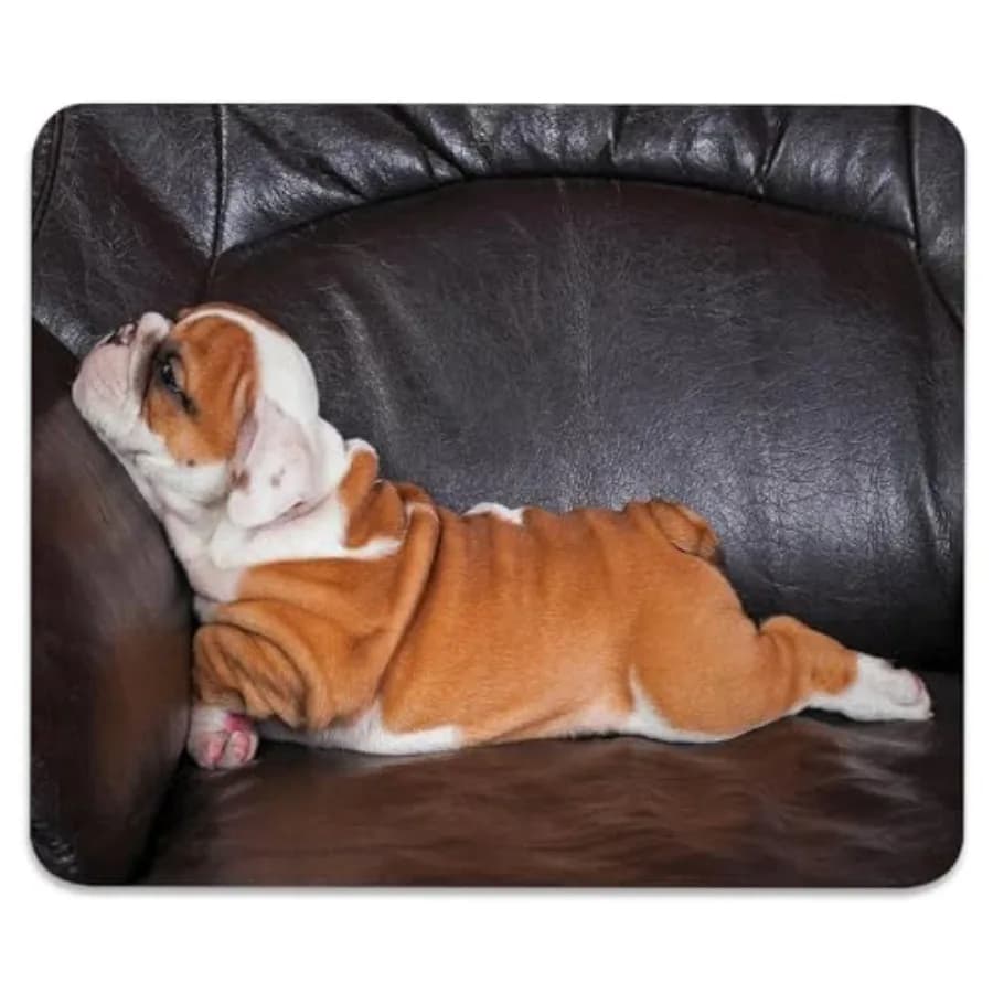 Tappetino per mouse antiscivolo per giochi e ufficio con bulldog inglese, bordi cuciti, 9,5 x 7,9 pollici, cucciolo che riposa su un divano, animale divertente
