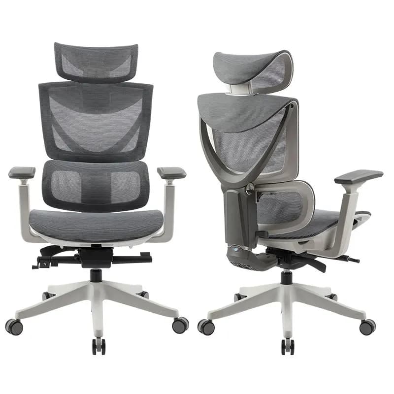 Sedia Ergonomica Reclinabile per Studio e Ufficio con Supporto Lombare per Casa e Sedie da Gaming PC