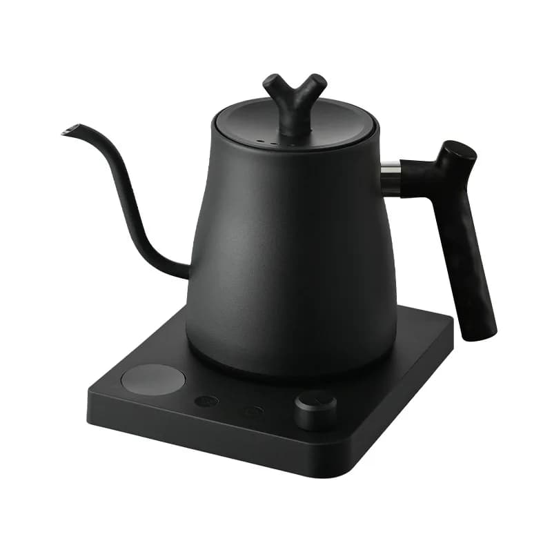 Bollitore Elettrico a Collo d'Oca 110V 1L con Controllo della Temperatura 45-100°C ° Caffettiera in Acciaio Inox 304 a Riscaldamento Rapido, Regalo per Amanti del Caffè, Caffè e Tè