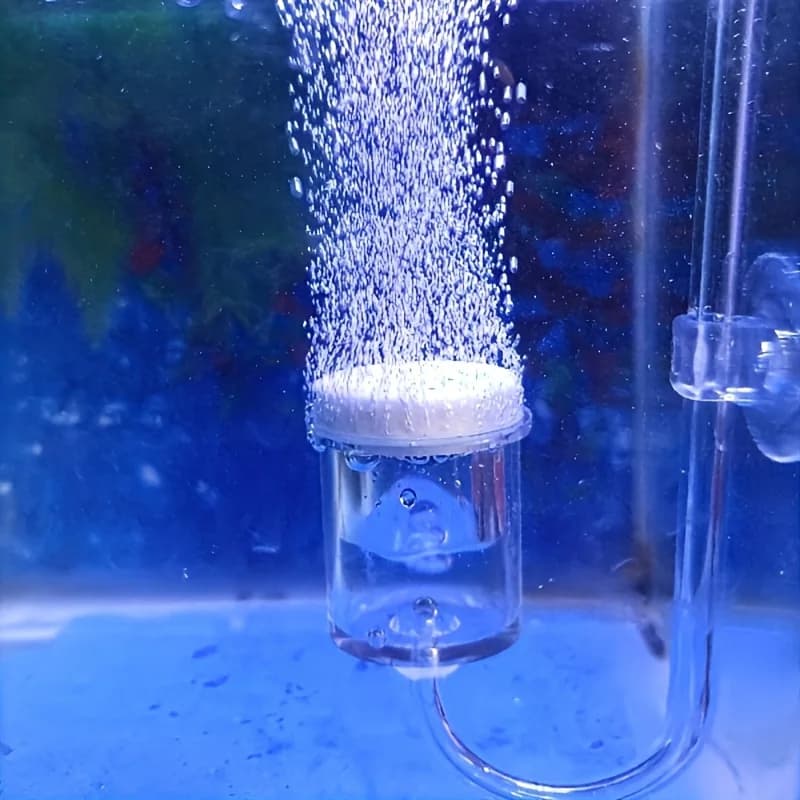 Acquario Vetro CO2 Atomizzatore Diffusore Contatore di bolle Controllo con ventosa per acquario Piantato Accessori per acquari