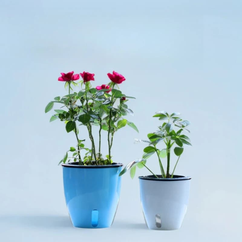 Lazy Flower Pot Water Plant Flower Pot/Self-watering Flower Pot with Visible Water Level, Root Care Nursery Flower Pot, Indoor