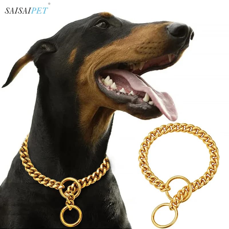Collare in acciaio al titanio con catena P per cani in acciaio inossidabile dorato da 10 mm di vendita caldo