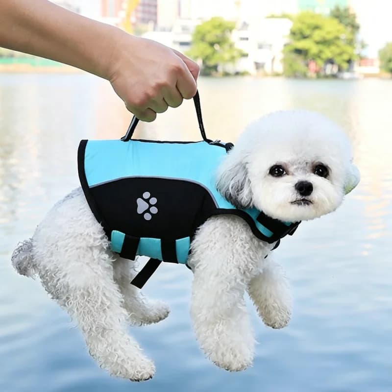 Summer Pet Dog Swimming Life Jacket for Small Medium Large Dogs with Removable Front Float Adjustable Vest Jacket Dog Swimsuits