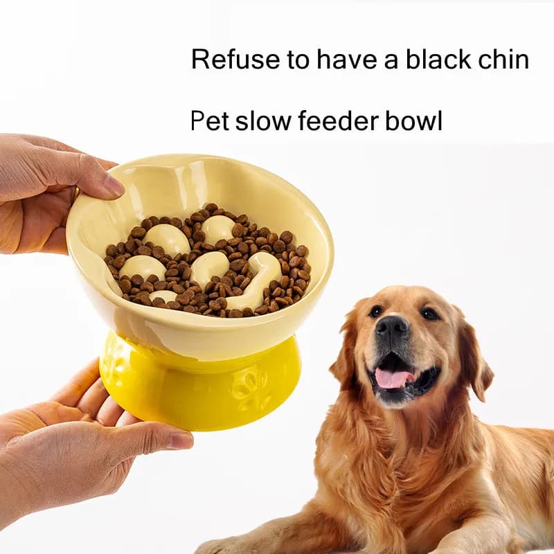 Ciotola per cani in ceramica per gatti domestici Cani di piccola e media taglia Cuccioli Alimentazione lenta Ciotola per cibo lento anti-stocar Ciotola per mangiare anti-tumulo