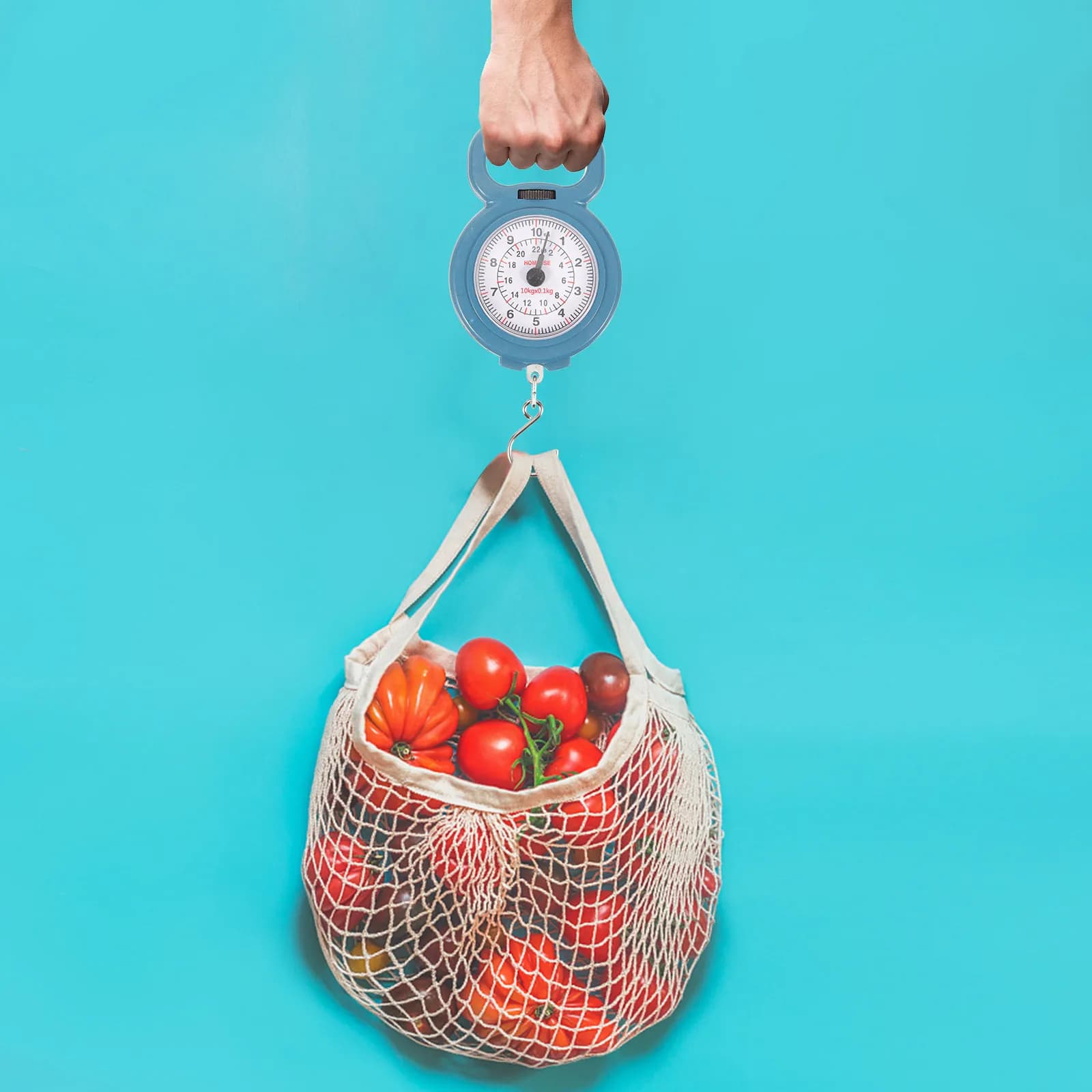 Bilancia Digitale Portatile Tascabile 10kg per Pesare Bagagli da Viaggio, Pesca e Cucina, Leggera e Resistente in Plastica e Metallo