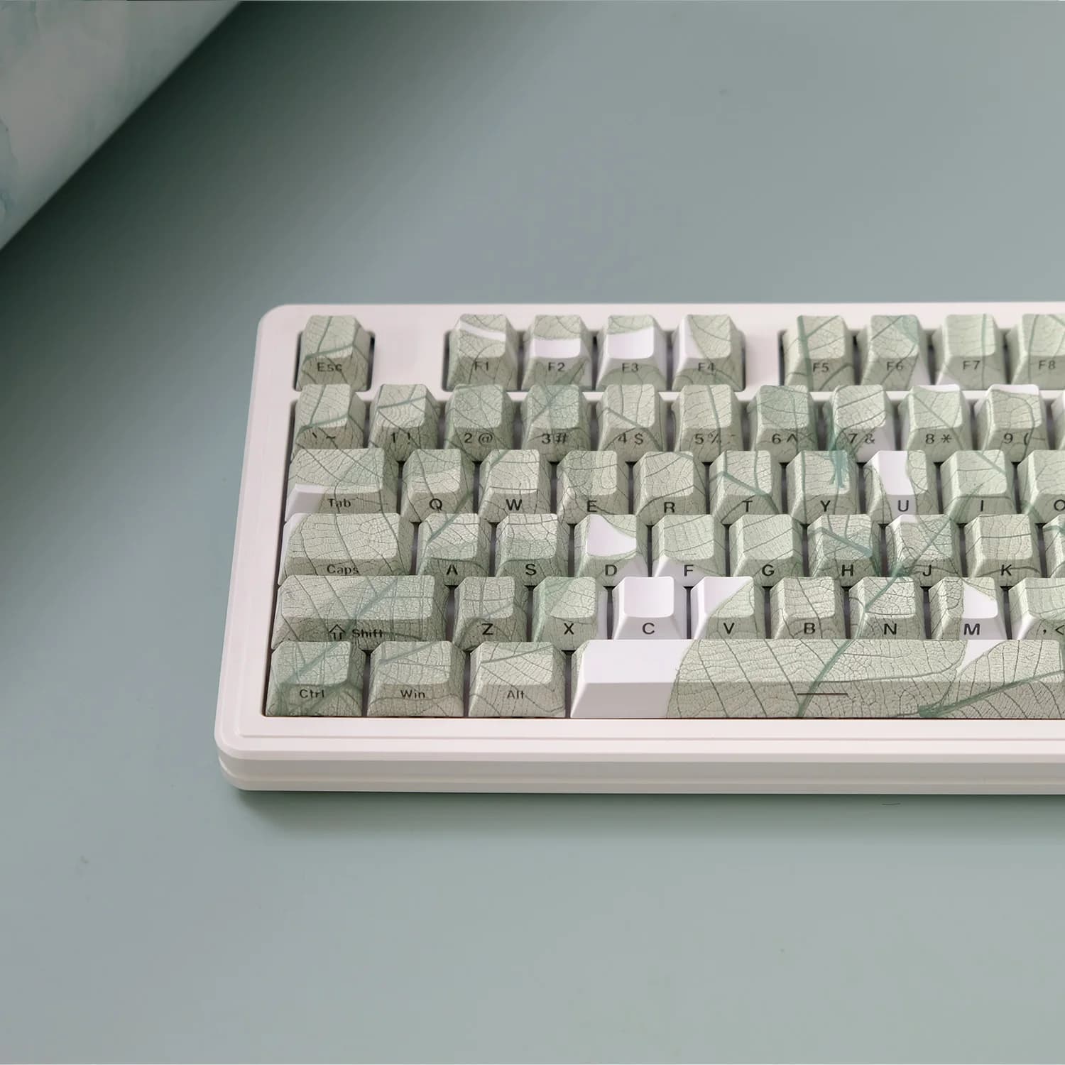 Set di 135 Tasti PBT a Tema Foglie, Keycaps Double Shot con Stampa Laterale Trasparente, Profilo Cherry per Tastiere Meccaniche da Gaming Fai-da-Te