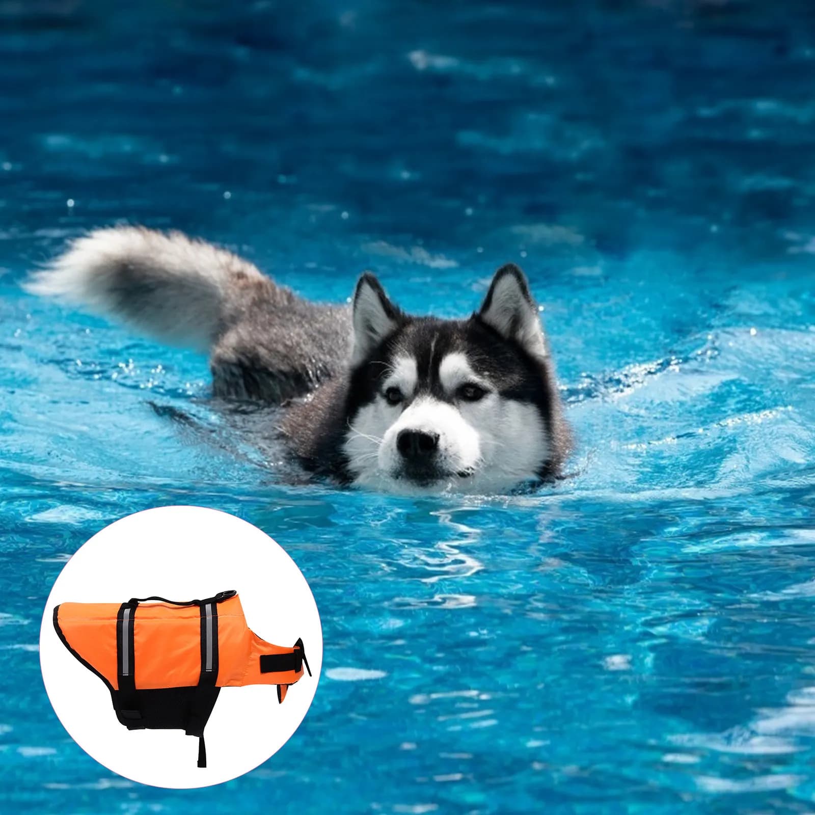 Giubbotto Salvagente per Cuccioli, Costume Galleggiante per Piscina, Spiaggia e Nautica, con Doppio Blocco e Strisce Riflettenti per il Nuoto degli Animali Domestici