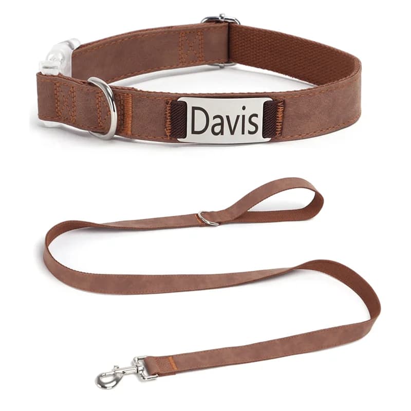 Collare per cani personalizzato con guinzaglio per cani abbinato Collare per animali in pelle delicato sulla pelle Design morbido e traspirante per le passeggiate quotidiane