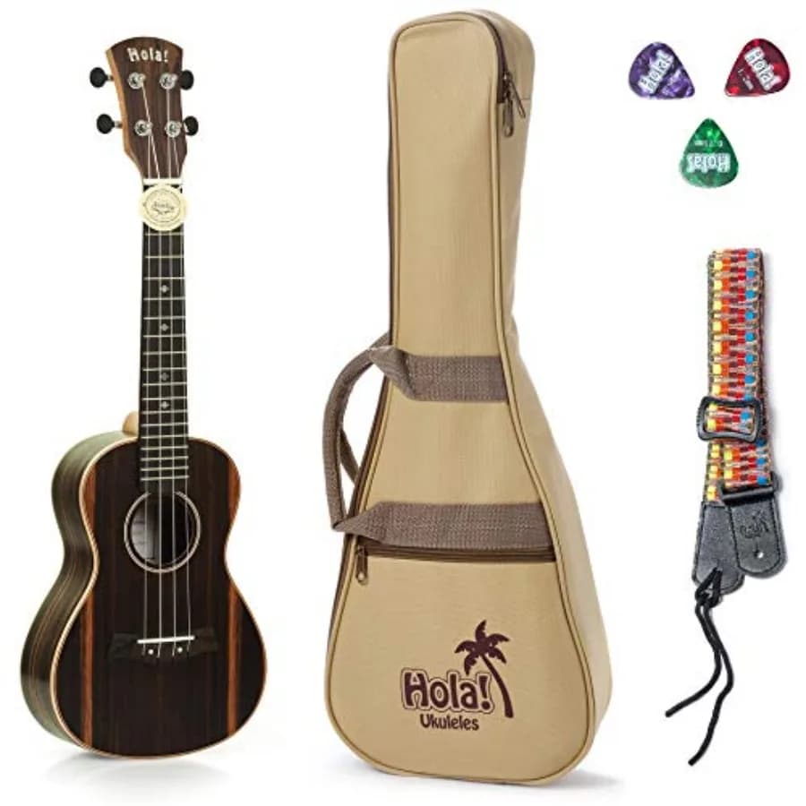 Concert Ukulele for live performance, ebony wood, natural finish, includes Aquila Nylgut strings, padded gig bag, strap and pic