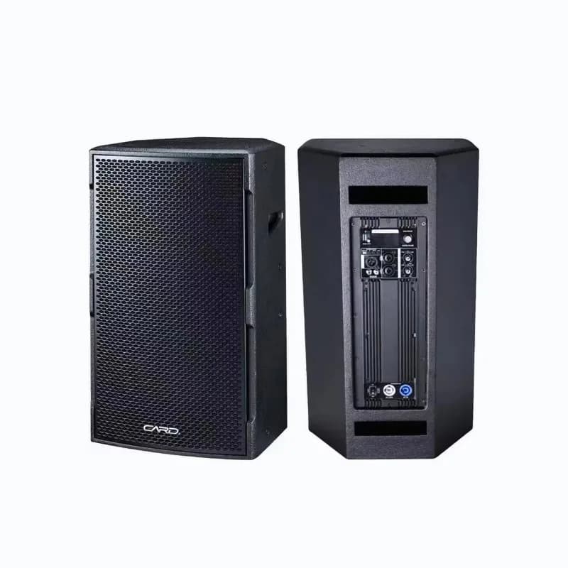 Sistema pa alimentato attivo Altoparlanti professionali attivi con altoparlante Blue Tooth da 12 pollici a gamma completa da 400 W con BT DSP USB