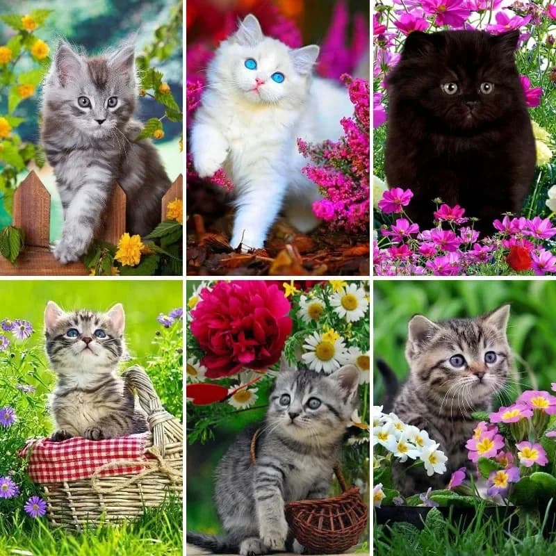 DIY 5D Diamond Painting Kits Baby Cat,Diamond Art Craft Tabby Cat, Kitten Rhinestone Diamond Pictures for Adults,Wall Decor