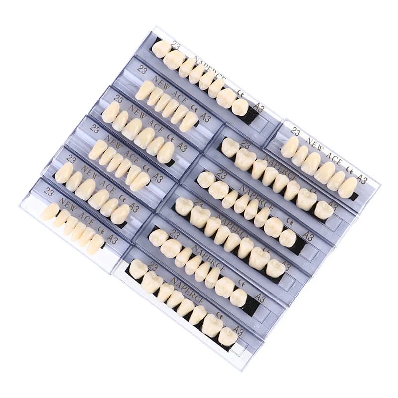 168 pz/scatola Dentale Resina Sintetica Protesi Modello Didattico Bocca Completa Superiore Inferiore Denti Finti Kit Materiali di Consumo Dentale