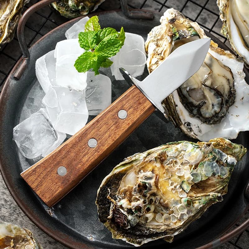 Knife for tapping oysters with wooden handle Knife for tapping clams for oysters in stainless steel Seafood Open for crustaceans for kitchen