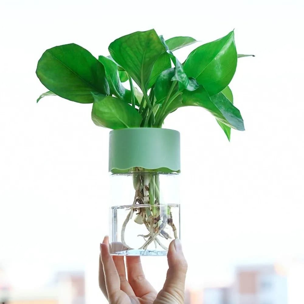 2pcs Plastic Hydroponic Flower Pot Simple Transparent Clear Plant Vase Flower Holder Minimalist Soilless Cultivation Pot
