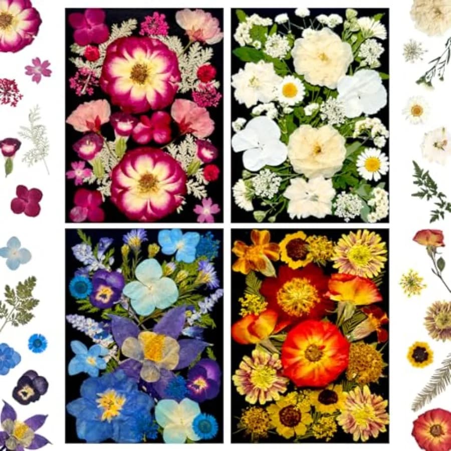 Fiori Pressati Essiccati per Resina, Foglie Floreali Naturali Assortite per Artigianato Fai-da-Te, Stampi in Resina Epossidica, Gioielli, Sapone, C