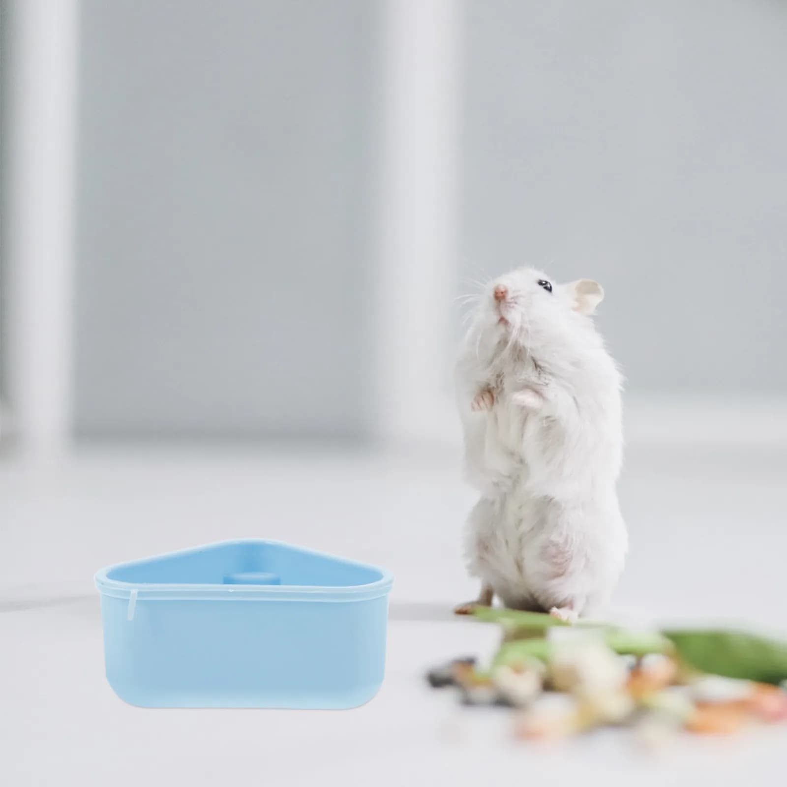 1Set Small Pet Running Wheel Food Bowl Water Bottle ABS Material Hamster Cage Accessories Reusable Easy Assembly Small Animal